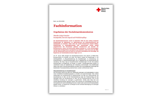 Link zur Fachinformation über Ergebnisse der Sozialstaatskommission