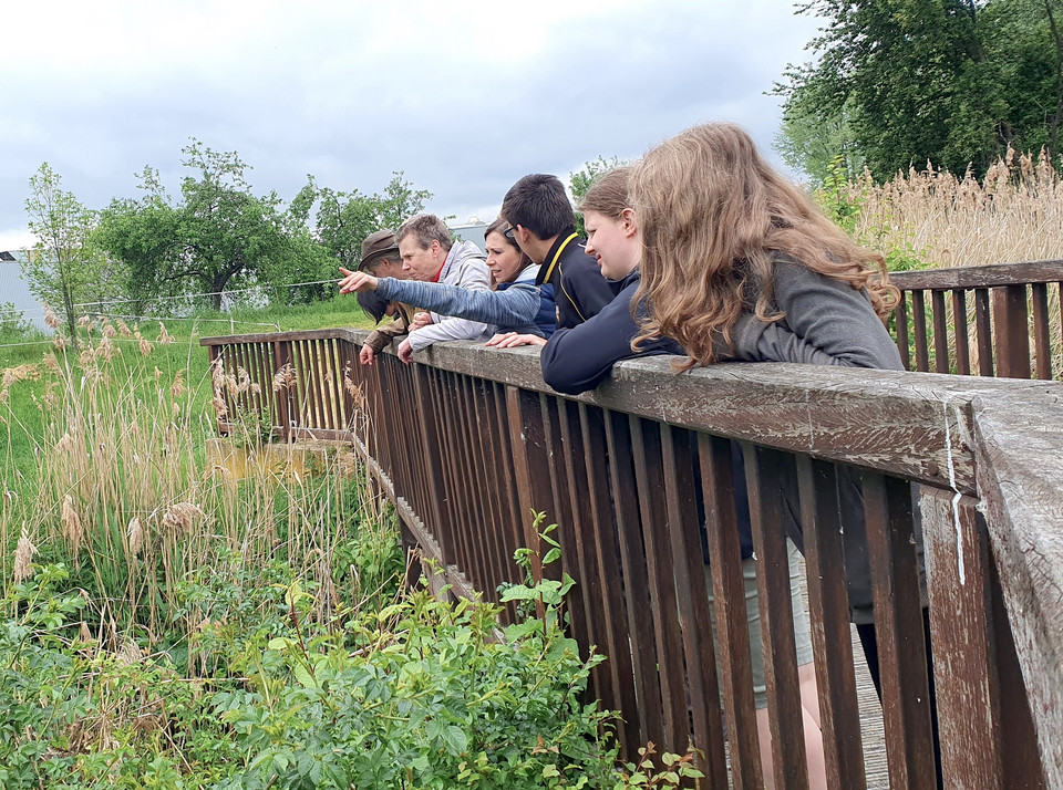Gruppe in der Natur - beobachten