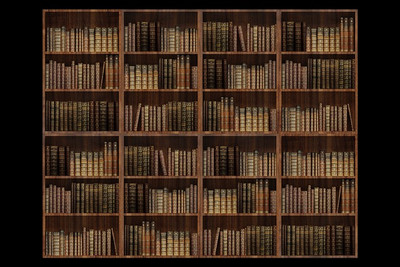 Das Bild zeigt ein volles Bücherregal mit alten Nachschlagewerken.