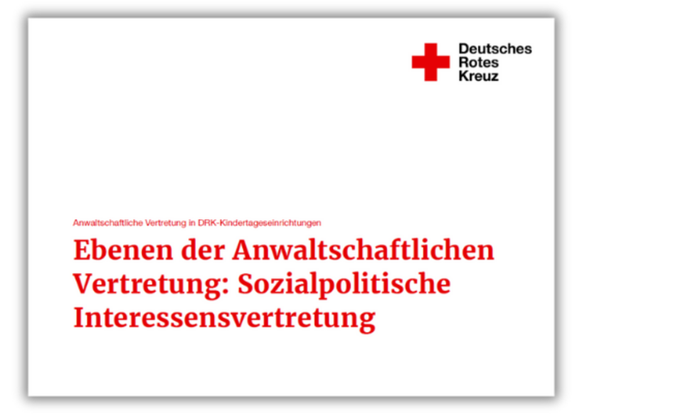 Ebenen der Anwaltschaftlichen Vertretung: Sozialpolitische Interessensvertretung