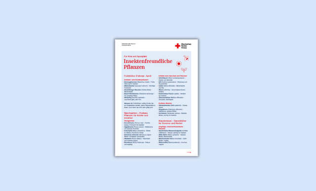 Download der Liste mit insektenfreundlichen Pflanzen, gegliedert nach Jahreszeiten und Pflanzentypen, 