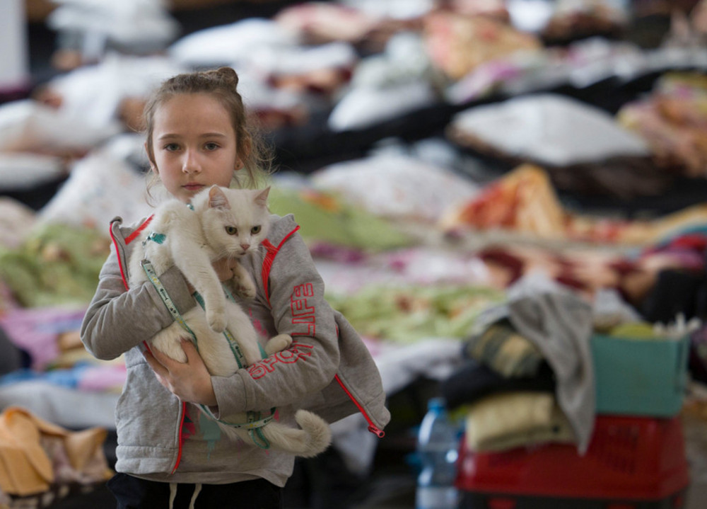 Mädchen mit Katze in Unterkunft